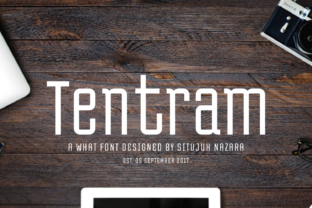 A Retro Display Font That Makes Your Brand Memorable