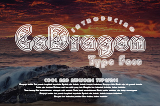 How a Unique Display Font Like CoDragon Transforms Small Business Branding