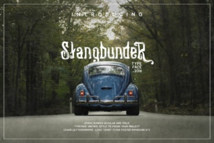 Stangbunder Font: A Vintage Display Typeface for Brands