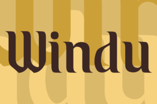 Windu Display Font: Editorial Typography with Serif Character